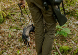Lookout from the photoseries Hunting by Francesco Futterer, a freelance photographer based in Mannheim 