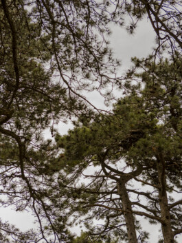 Trieste – Travel photography by Francesco Futterer 