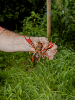 bloq Magazine – documentation photography by Francesco Futterer 