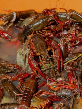 bloq Magazine – documentation photography by Francesco Futterer 