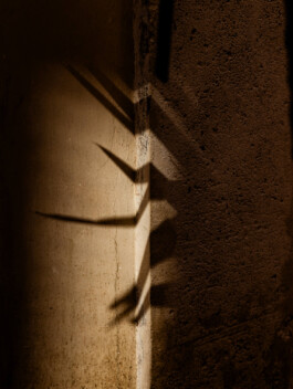 Roma – Travel photography by Francesco Futterer 