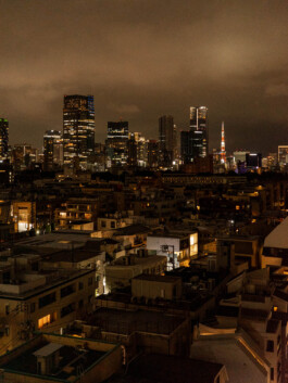 Tokyo city skyline at night with illuminated buildings 