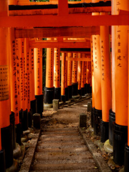 Pathway through red torii gates at Fushimi Inari Shrine, Kyoto 