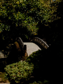 Stone bridge surrounded by trees in a Japanese garden 